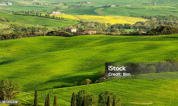 Ondulante Paisaje De Toscana Italia Foto de stock y más banco de imágenes de Agricultura - Agricultura, Aire libre, Amanecer