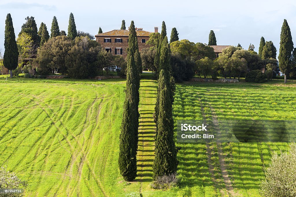 Paesaggio toscano - Foto stock royalty-free di Toscana - Italia