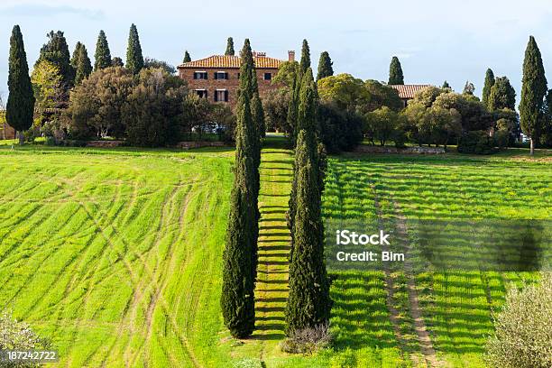 Krajobraz Toskanii - zdjęcia stockowe i więcej obrazów Toskania - Włochy - Toskania - Włochy, Bez ludzi, Budowla mieszkaniowa