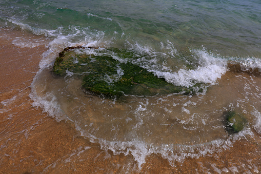 Green algae covered rocks, Yalong Bay, Sanya City, South China