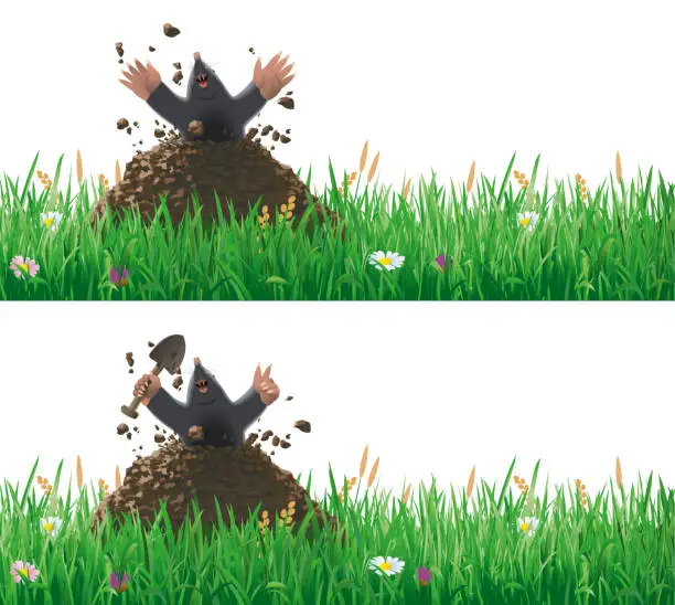 Vector illustration of Mole breaking out of a molehill and grass