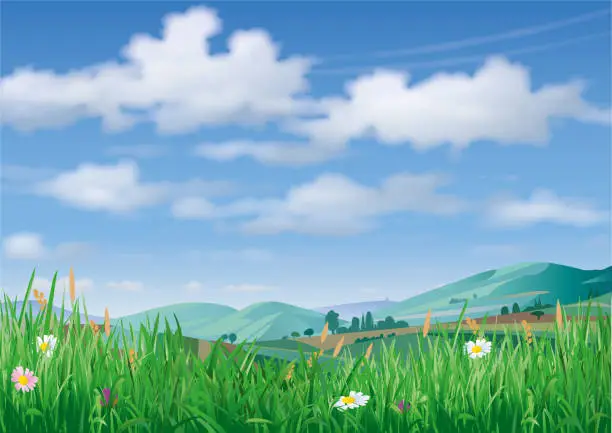 Vector illustration of Landscape with grass flowers in front and hills in the background
