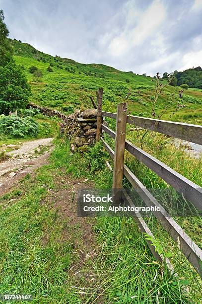 Cumbrian Ogrodzenie - zdjęcia stockowe i więcej obrazów Anglia - Anglia, Bez ludzi, Drewno - Tworzywo