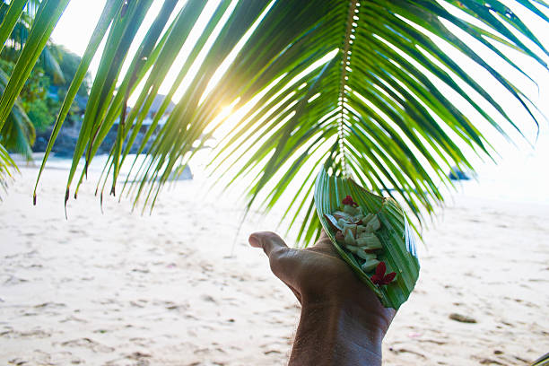 istock Coconut cutten in pieces 187244661