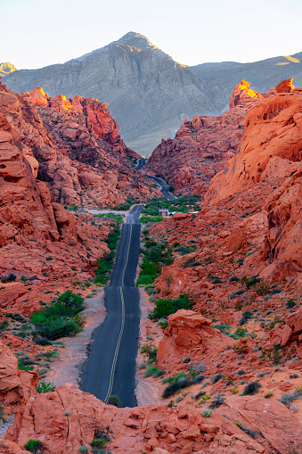 Road in Valley of Fire, Nevada in evening light. View from Mouse's Tank.