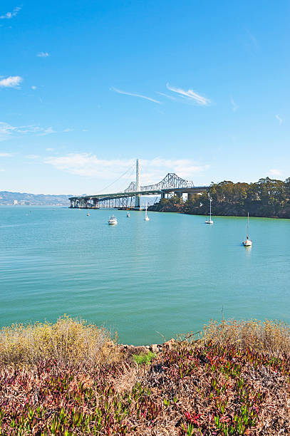 istock Views of Bridges from Treasure Island 187245067