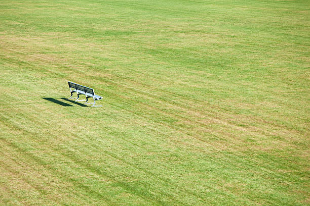 istock Empty Aluminum Park Bench on Late Summer Grass 187246091