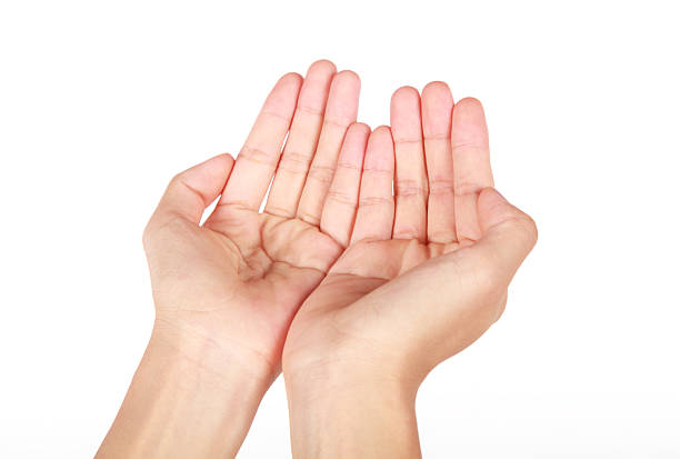 istock Hands open on white background-XXXL 187246949