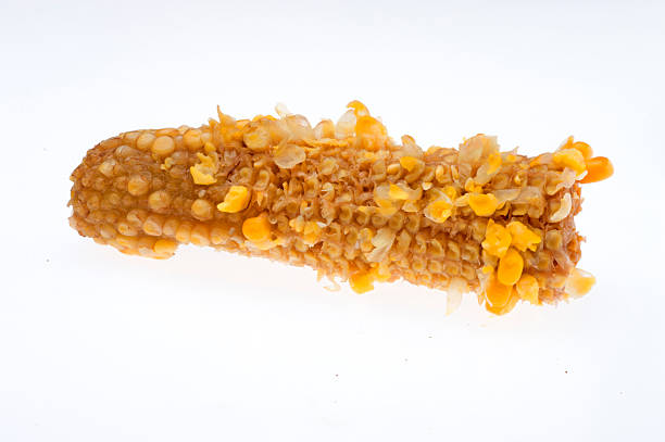 corn cob corn cob on White background corn cob eaten stock pictures, royalty-free photos & images