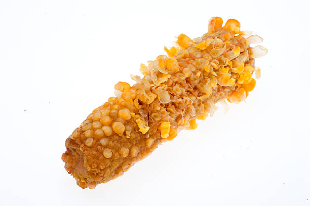 corn cob corn cob on White background corn cob eaten stock pictures, royalty-free photos & images