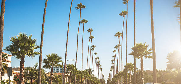 istock Sunset blvd strip in los angeles 187247314