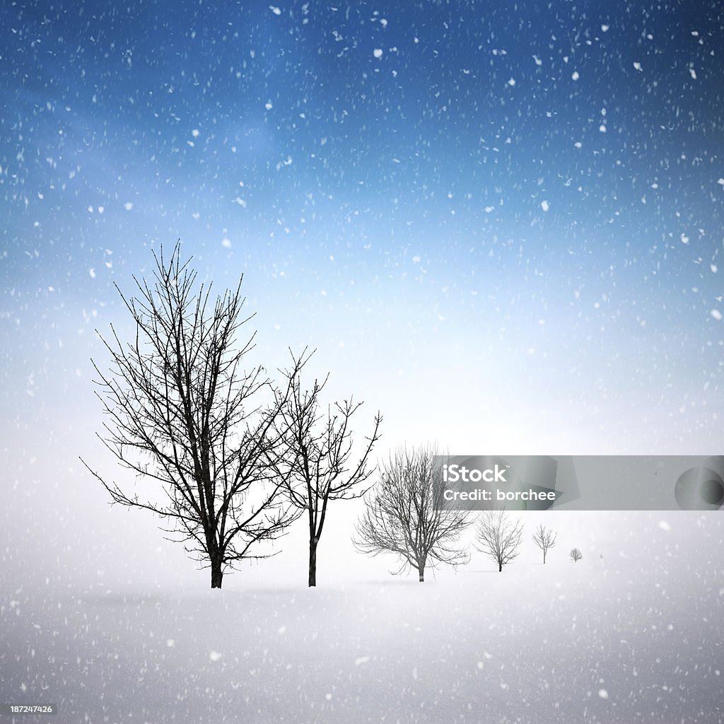Snowy Winter Landscape Bare trees on a field on a snowy winter day. Backgrounds Stock Photo