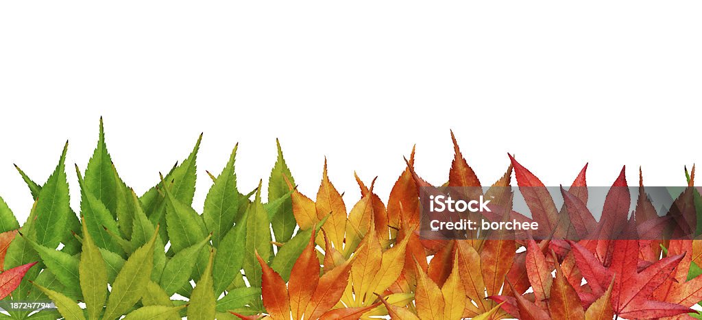 Бесшовный Осенний листья - Стоковые фото Без людей роялти-фри