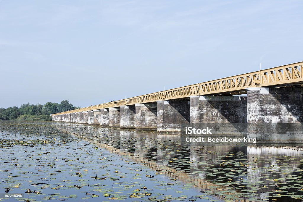 Przywrócona Kolej żelazny Most widok z boku - Zbiór zdjęć royalty-free (Bagno)