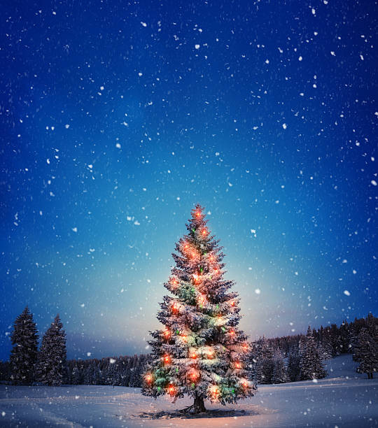 Holiday background with illuminated Christmas tree. Winter landscape on a snowy winter evening.