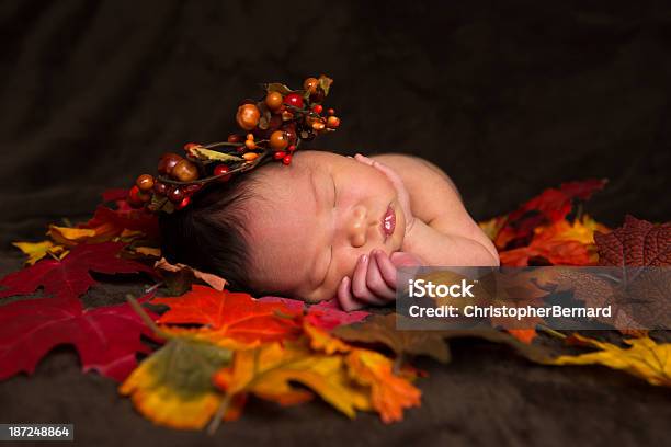 Niña Bebé Recién Nacido Que Descansan En Hojas Otoñales Foto de stock y más banco de imágenes de Día de Acción de Gracias