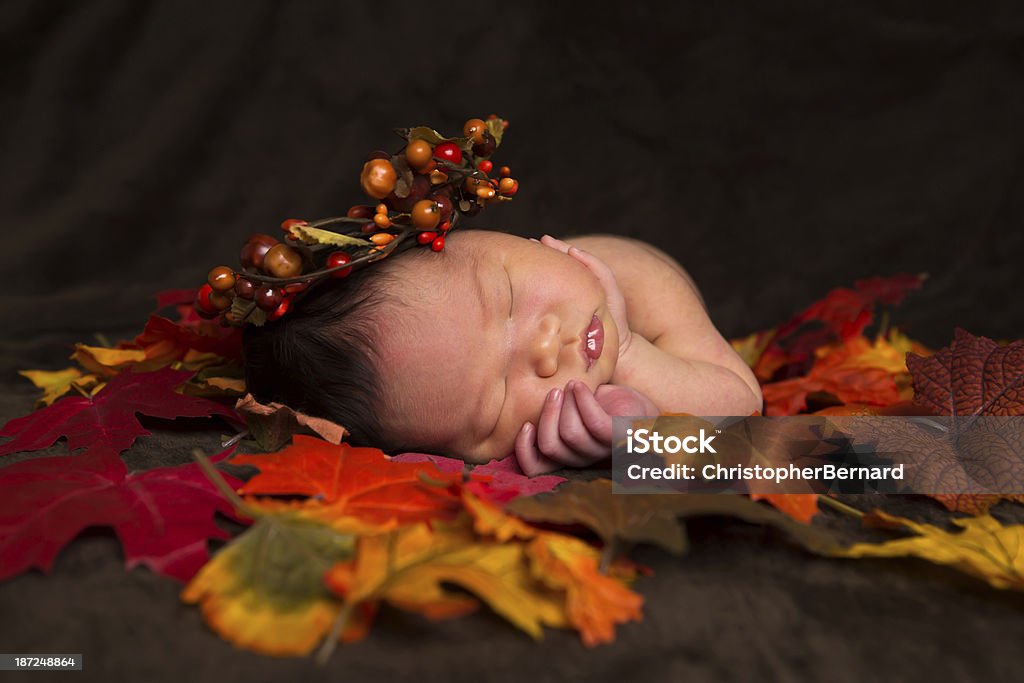 아기 여자아이 신생아 힐튼의 가을 낙엽 - 로열티 프리 추수감사절 스톡 사진