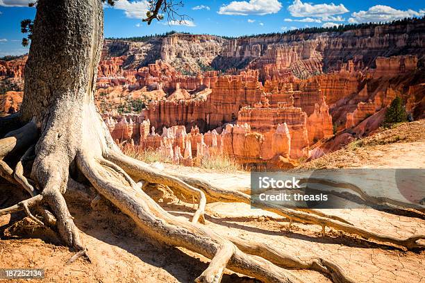 Bryce Canyon Stock Photo - Download Image Now - Blue, Bryce Canyon, Bryce Canyon National Park