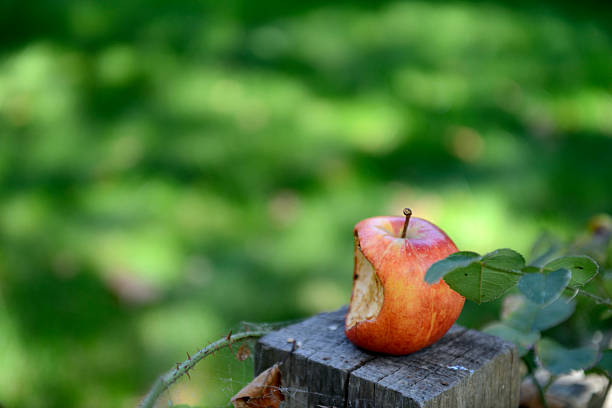 apple con uno spuntino in memoria di steve jobs - steve jobs foto e immagini stock