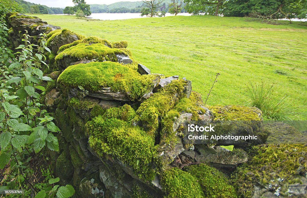 Suchy Mur kamienny w pobliżu Grasmere - Zbiór zdjęć royalty-free (Bez ludzi)