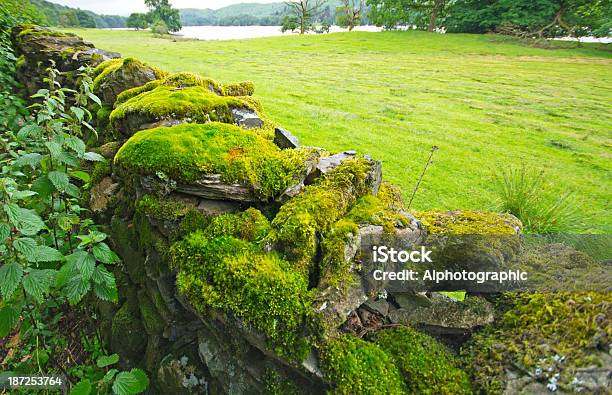Seco Muro De Pedra Perto Grasmere - Fotografias de stock e mais imagens de Agricultura - Agricultura, Ao Ar Livre, Cena Rural