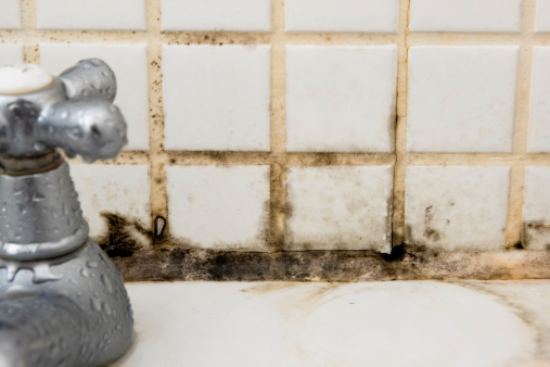 Close up of mould and dirt behind a bathroom tap. Main focus on the mould, softer focus around the tap.