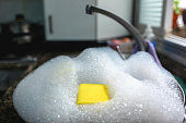 Sponge Lost at Sea: A Soapy Kitchen Tale