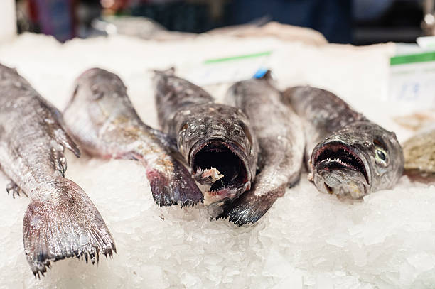 istock Fresh Fish on ice in market, Barcelona 187255219