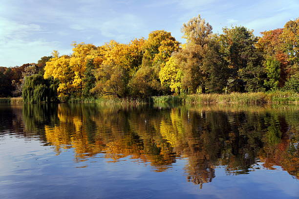 istock Autumn forest on the lake 187255966