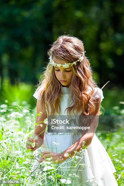 Girl In White Dress Picking Flowers Stock Photo - Download Image Now - Communion, Girls, Flower