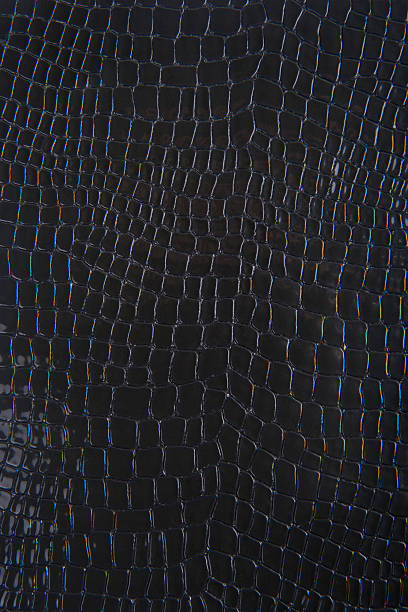 ブラックのスネークスキンまたはクロコダイルの質感の背景 - snake adder viper reptile ストックフォトと画像