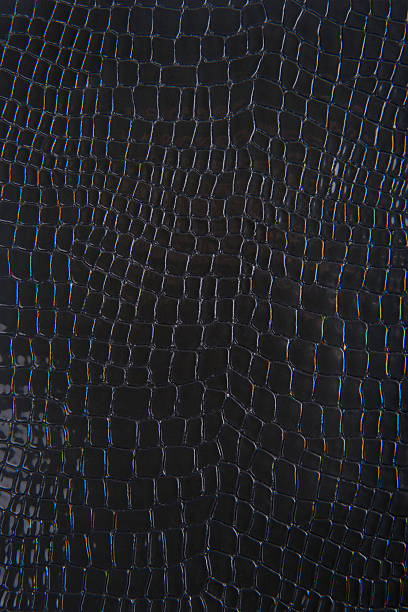 istock Black Snakeskin Or Crocodile Texture For Background 187256727