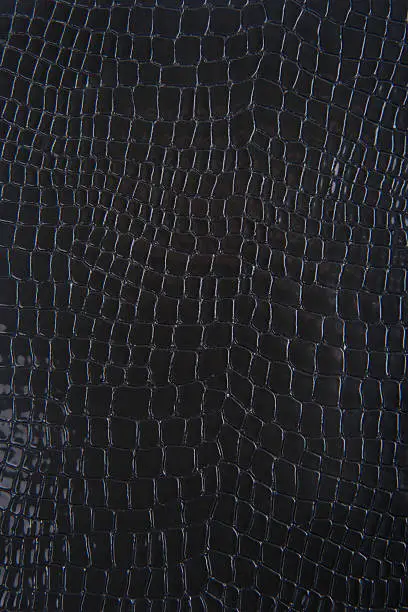 Photo of Black Snakeskin Or Crocodile Texture For Background