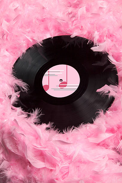 Vinyl Record in Pink Feathers 2 stock photo
