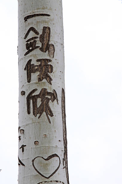 Chinese character background from Hong Kong Temple.