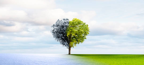 istock Change of seasons from winter to spring and summer 1872598242