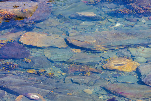 Stones seen under the clear water along the shoreline in Brigus Newfoundland.