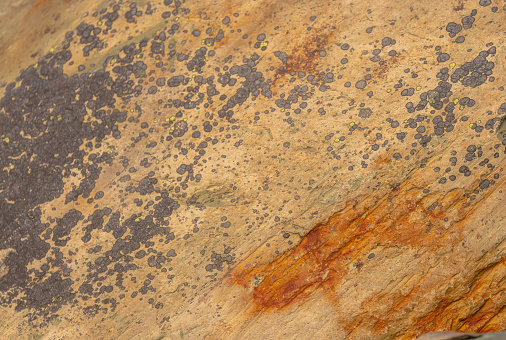 A section of a rock in Brigus Newfoundland. It shows colour and patterns.