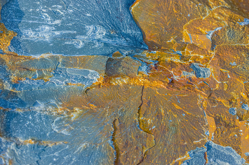 A section of a rock in Brigus Newfoundland. It shows colour and patterns.