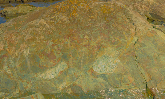 A section of a rock in Brigus Newfoundland. Lichens can be seen growing on the multi-colored rock.
