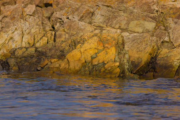 tranquil seascape