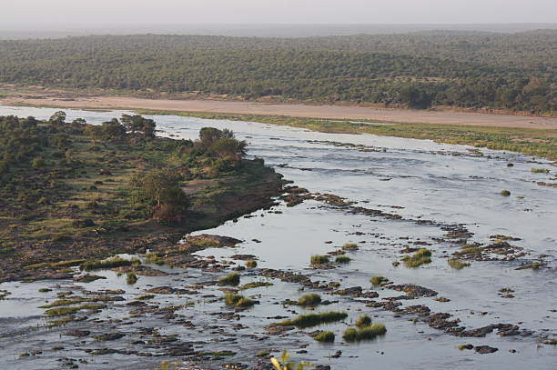 Riverscape panorâmica - foto de acervo