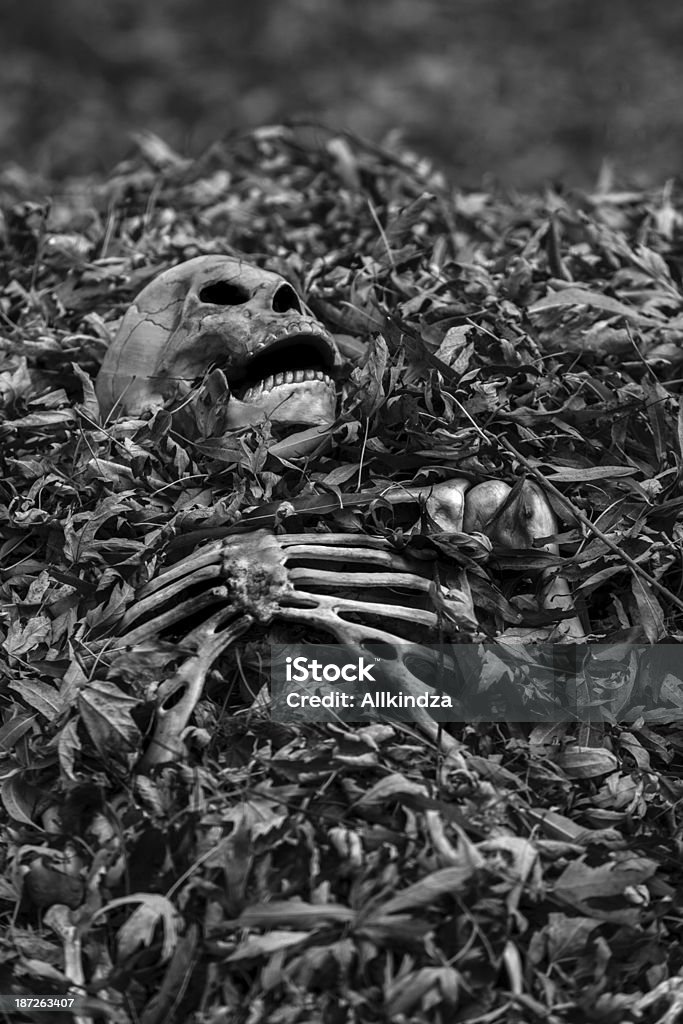 BW partially burried skeleton a low light, black and white image of a partially burried human skeleton Dirty Stock Photo