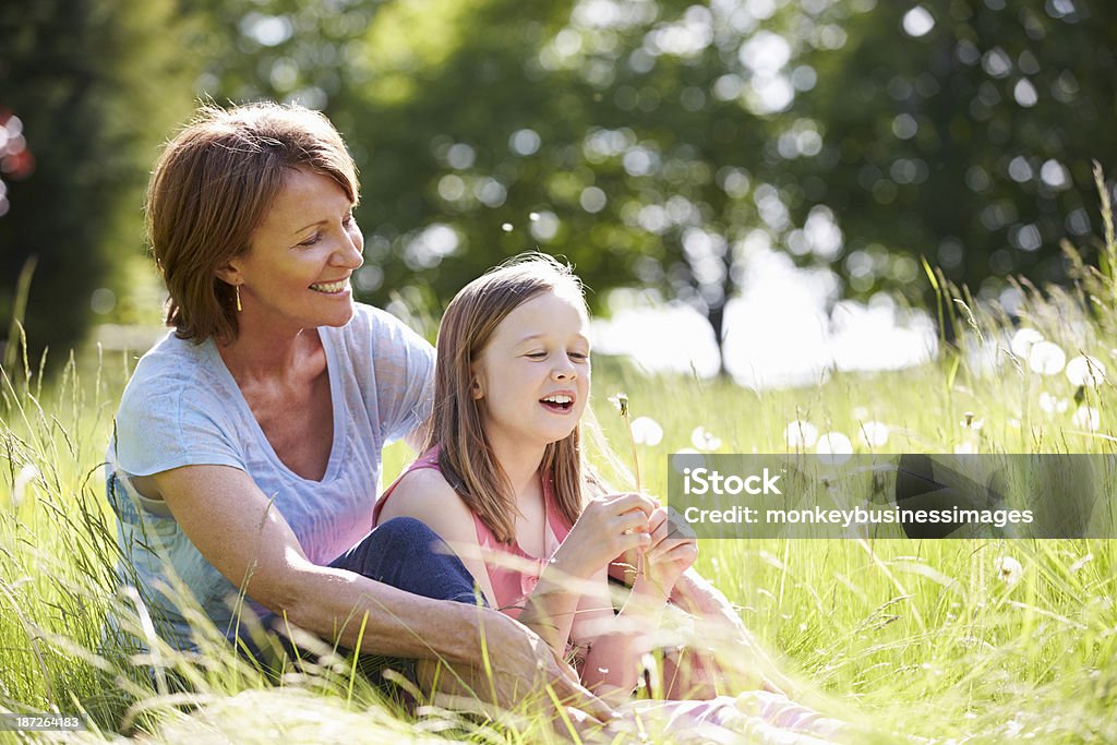 Avó e NETA sentado no campo de Verão - Royalty-free Dente-de-leão Foto de stock