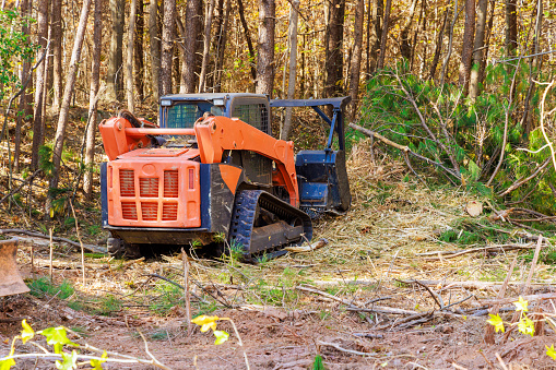 Contractor used tracked general purpose vehicles forestry mulcher that cleans soil in forest
