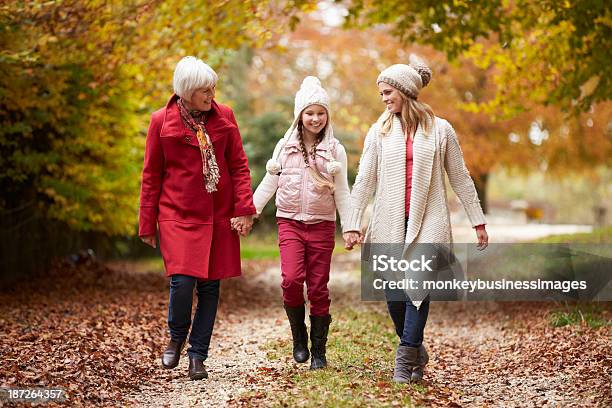 Fêmea Multl Geração Família Caminhar Ao Longo Caminho De Outono - Fotografias de stock e mais imagens de Avó