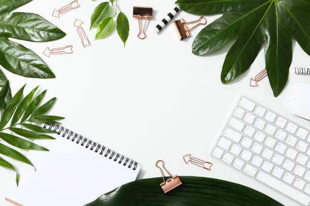 istock Concept of workplace, business and work, composition with leaves 1872645919