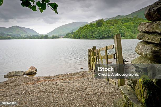 Waters Edge Lago Di Grasmere - Fotografie stock e altre immagini di Grasmere - Grasmere, Acqua, Albero