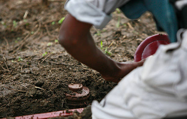 Mine is cleared Sri Lankan de-miner clears a land mine. guerrilla warfare photos stock pictures, royalty-free photos & images