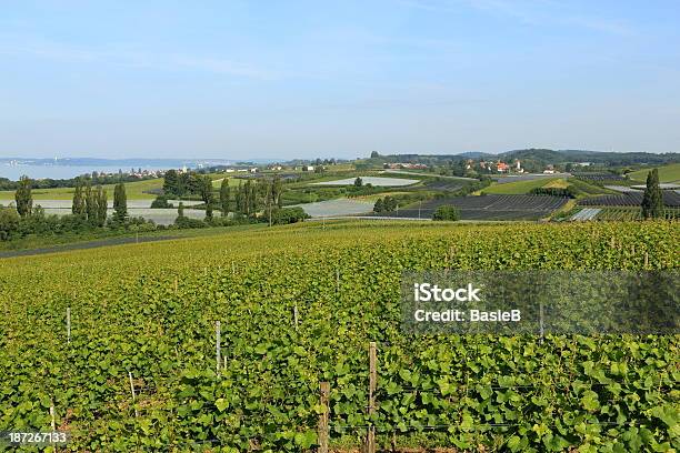 Mit Ihren Apfelgärten Und Weingütern Stockfoto und mehr Bilder von Bodensee - Bodensee, Deutschland, Formatfüllend